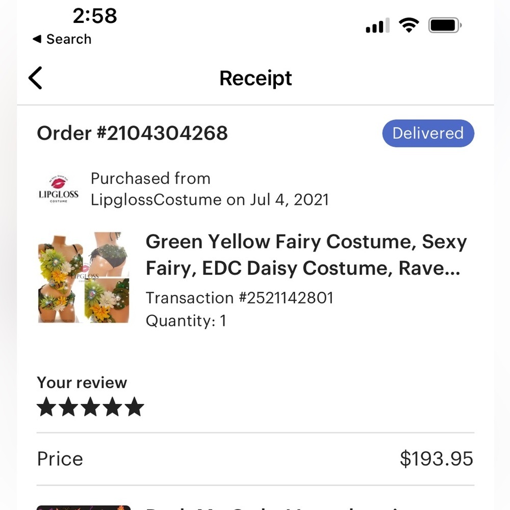 SEXY Fairy Costume 32 D Lingerie Custom Hand Made - Picture 12 of 12